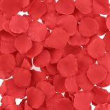 Лепестки роз Rose Petals