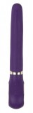 Анатомический вибромассажер G-Vibe (Fun Toys), фиолетовый
