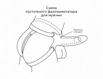 Фаллопротез пустотелый с мошонкой (16, Ø 4.8 см)