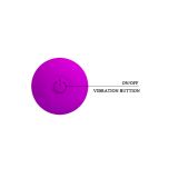Набор вибростимуляторов: 4 шт PrettyLove JoyCollection 4 in 1