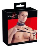 Ошейник с поводком Bad Kitty Collar with leash