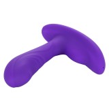 Массажер простаты с пультом ДУ Silicone Remote Pinpoint Pleaser (10.3, Ø 3.3 см)