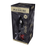 Металлическая анальная пробка Anal Pleasure от Alive - M, с красным кристаллом (8, Ø 3.4 см)