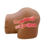 Мастурбатор Geriann, с вибрацией, всасыванием и голосовым сопровождением