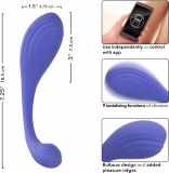 Тренажер Кегеля CalExotics Connect