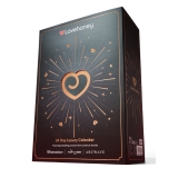 Адвент-календарь Lovehoney 24 Days Luxury, 24 предмета