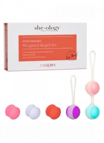 Набор вагинальных шариков со сменным грузом She-Ology