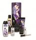 Подарочный набор SHUNGA Плотские утехи 5 предметов