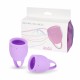 Набор менструальных чаш Natural Wellness Orchid Lavander (15 и 20 мл)